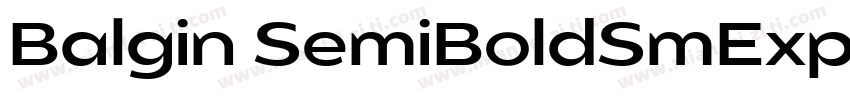 Balgin SemiBoldSmExpanded Regular字体转换